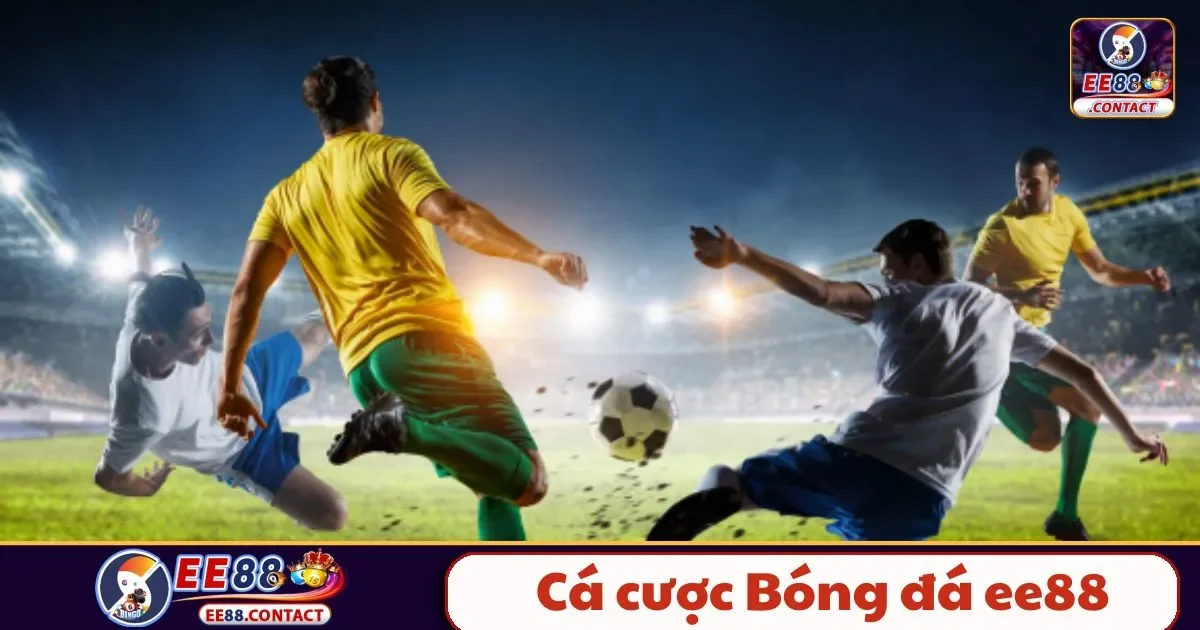 Cá Cược Bóng Đá EE88 – Bí Kíp Đọc Kèo Và Cách Đặt Cược