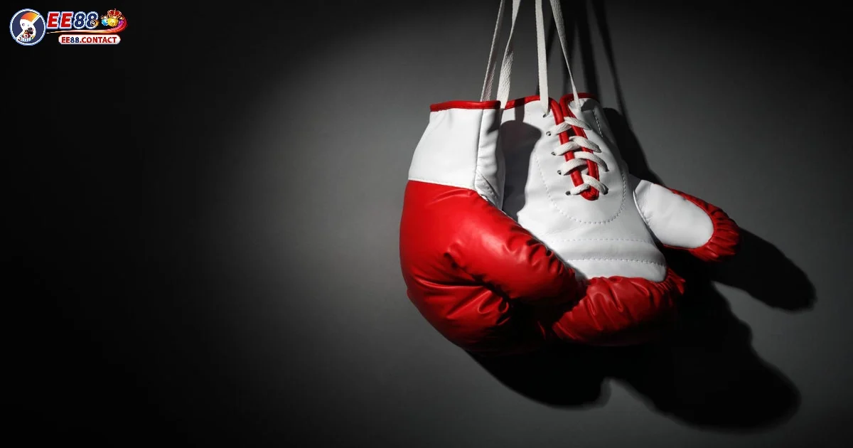 Cách Cá Cược Boxing Online Tại EE88 Cho Người Mới Bắt Đầu 4 Nghiên cứu và dự đoán sức mạnh thi đấu của từng võ sĩ